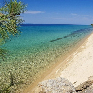 Serenity Travel