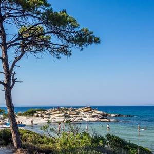 Serenity Travel